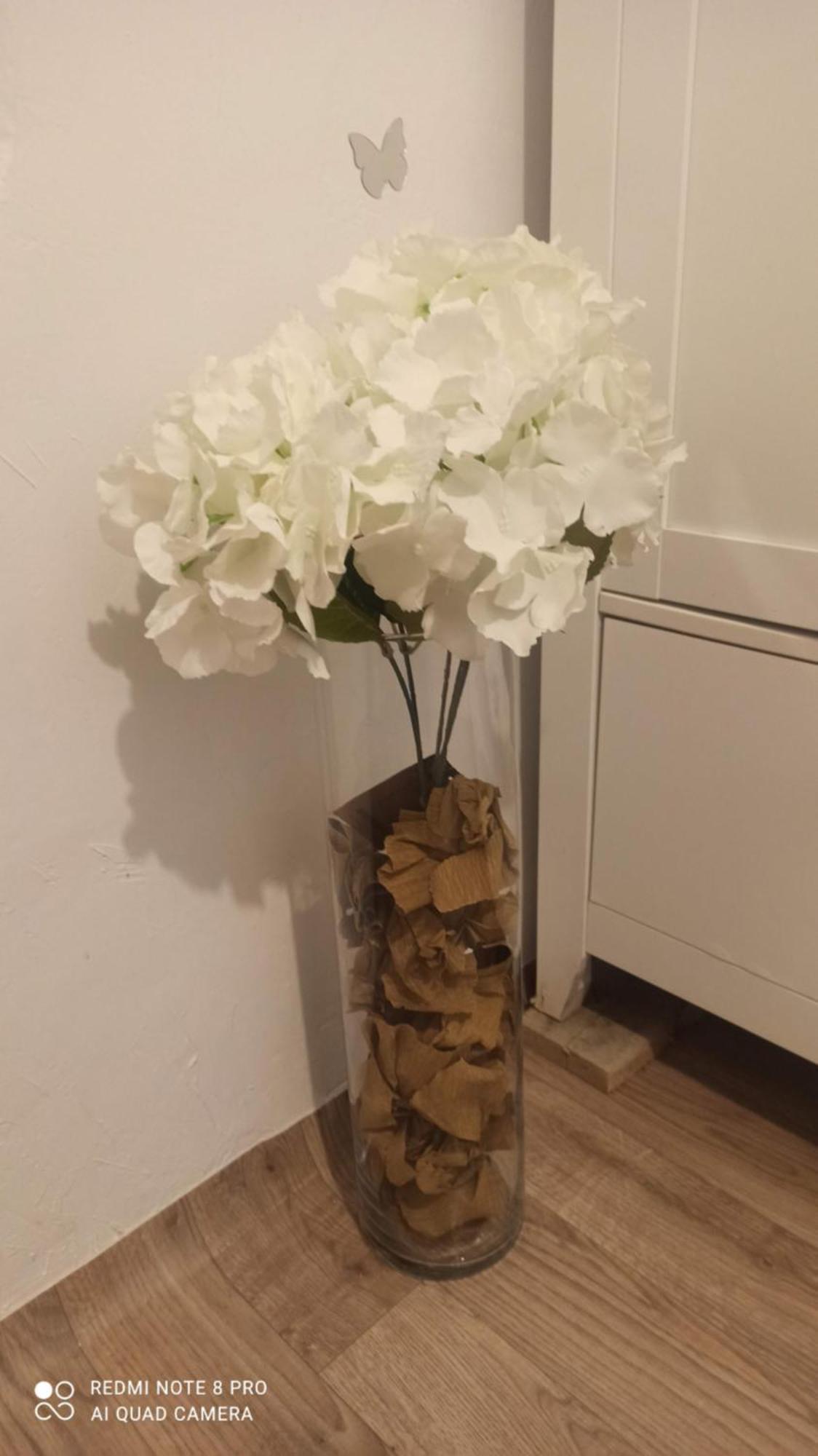 קלוז'-נאפוקה Studio Pe Somes מראה חיצוני תמונה